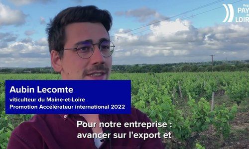 La Région booste la filière viticole à l’international