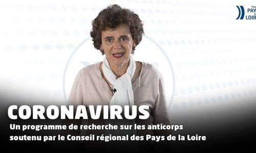 Coronavirus : la société de biotech nantaise Xenothera envisage un traitement à base d'anticorps