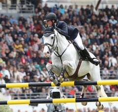 épreuve de jumping cavalier sur cheval blanc